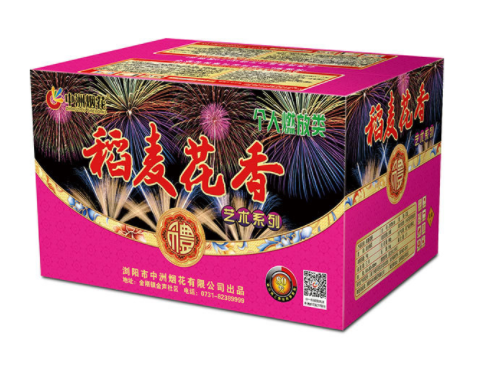 新城登录页面